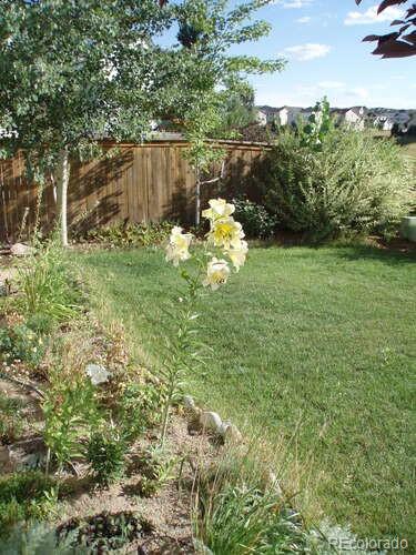 10143 Astorbrook Lane Highlands Ranch, CO 80126 - Photo 39 of 39 a backyard of a house with lots of green space