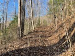 528 Early Deitz Road Sylva, NC 28779 - Photo 4 of 9 a view of a backyard with pathway