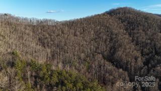 528 Early Deitz Road Sylva, NC 28779 - Photo 6 of 9