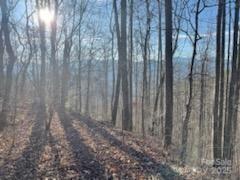 528 Early Deitz Road Sylva, NC 28779 - Photo 7 of 9