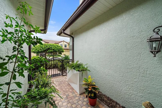 a view of a potted plants next to a wall