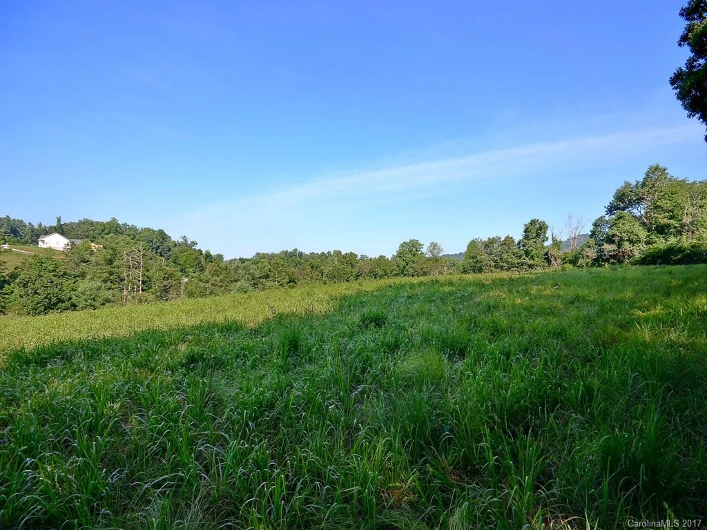0 Phillips Valley Road Mars Hill, NC 28754 - Photo 2 of 7 Gallery Image 2