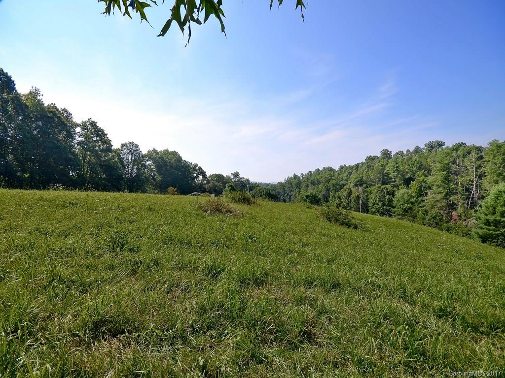0 Phillips Valley Road Mars Hill, NC 28754 - Photo 4 of 7 Gallery Image 4