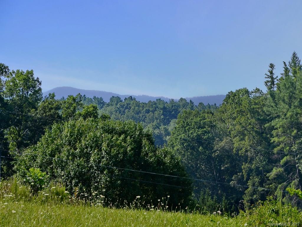 0 Phillips Valley Road Mars Hill, NC 28754 - Photo 5 of 7 Gallery Image 5