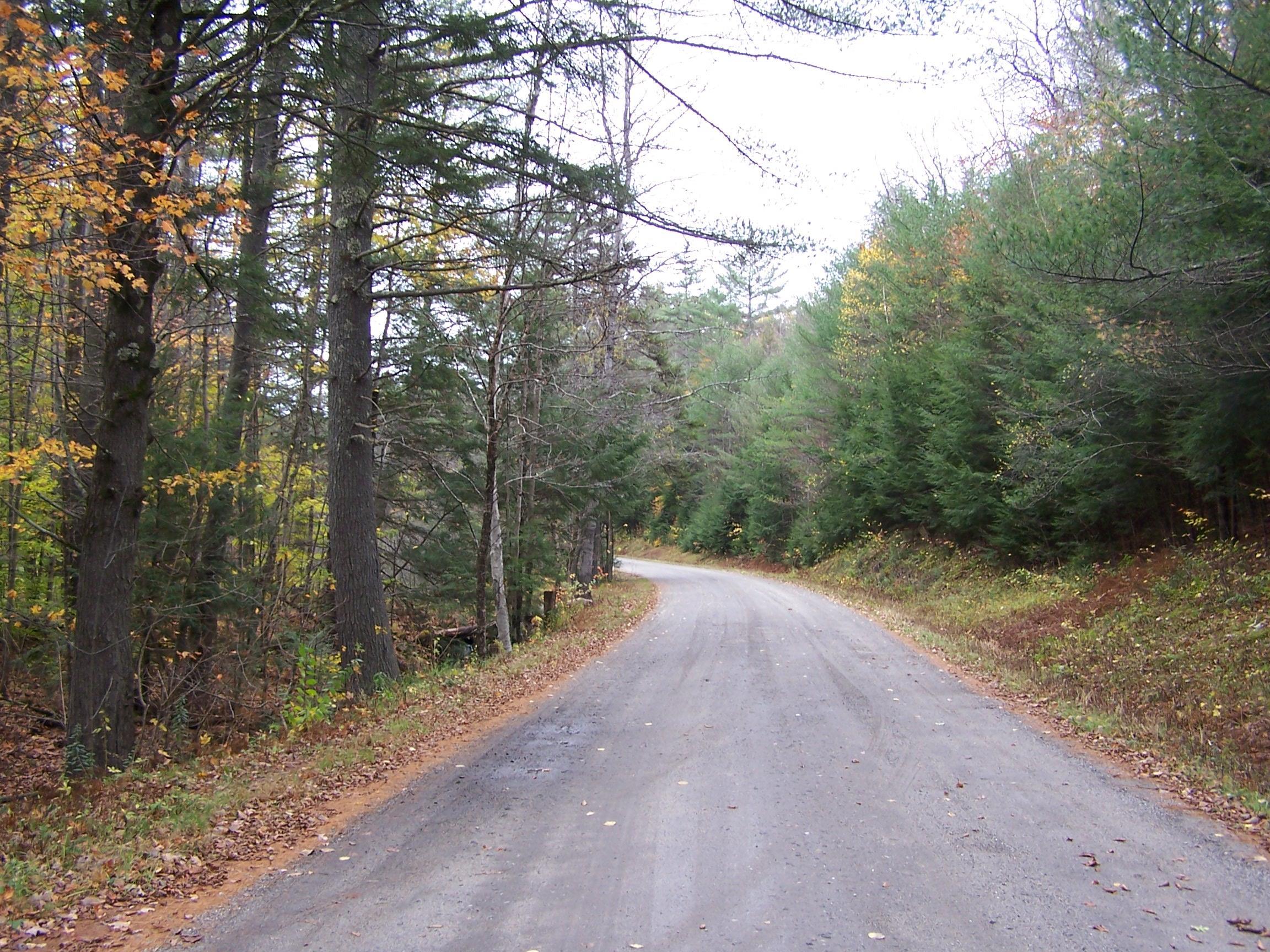 184 Gustin Pond Road Alstead, NH 03602 - Photo 3 of 4
