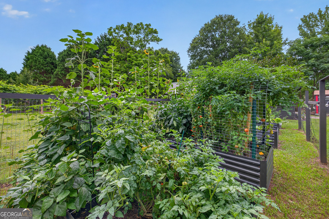 1740 Old Buckhead Road Madison, GA 30650 - Photo 85 of 130