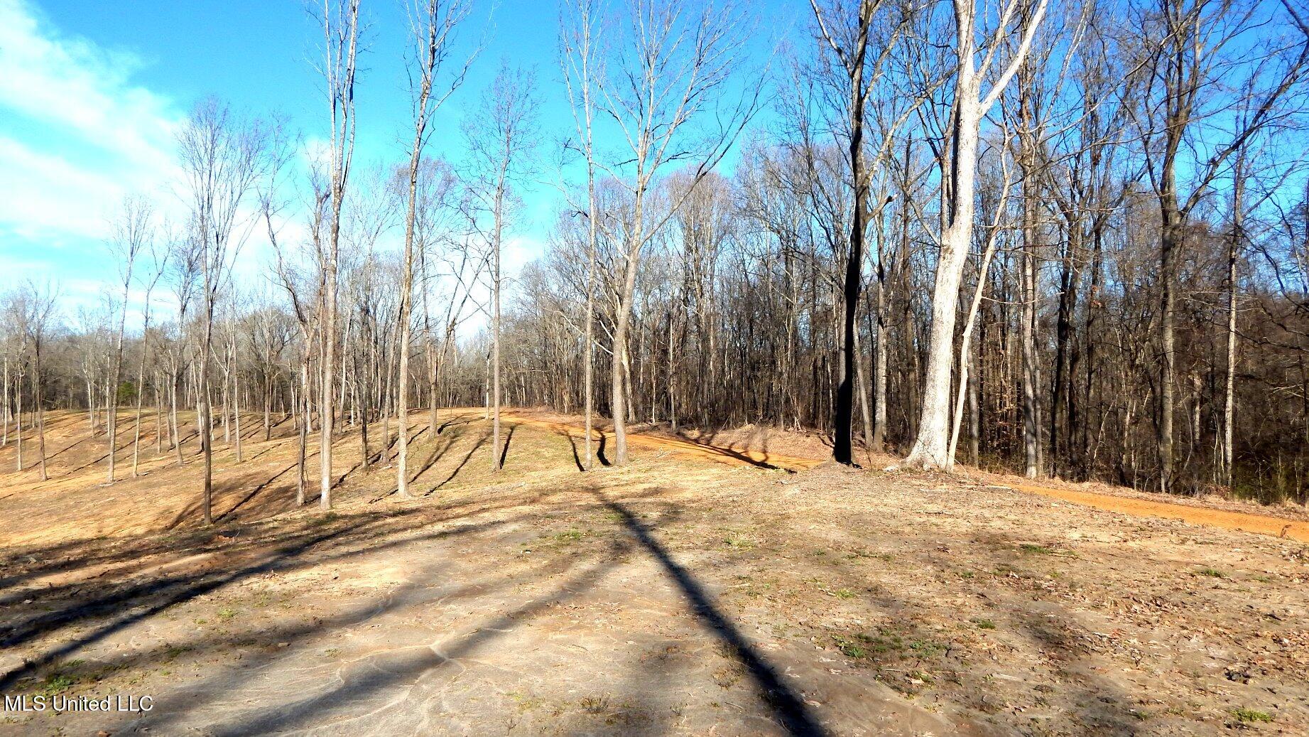 4577 Bluff Road Hernando, MS 38632 - Photo 20 of 57 DSCN6711