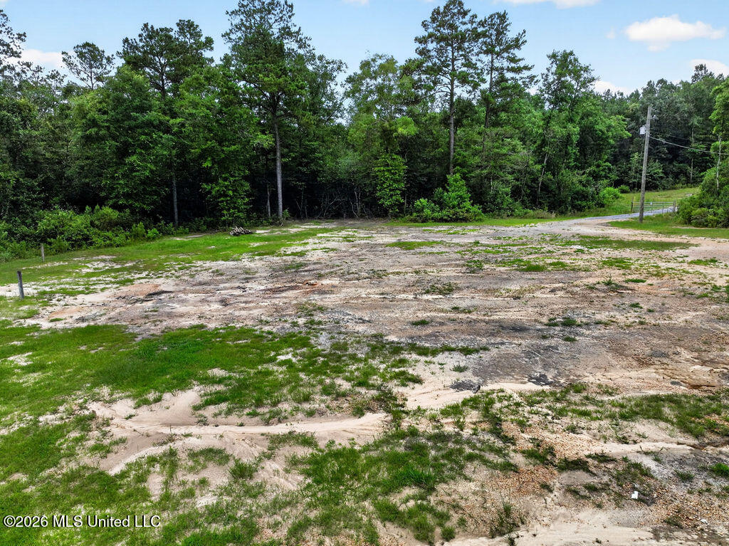 94 Desoto Road McHenry, MS 39561 - Photo 26 of 37 94DesotoRd.S-26