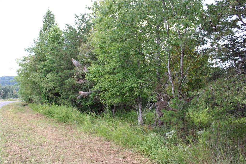 1662 Ralph Joyce Road Sandy Ridge, NC 27046 - Photo 28 of 33 Gallery Image 28