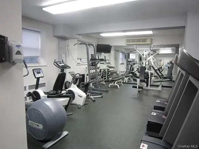 a very nice looking room with a large window and a potted plant