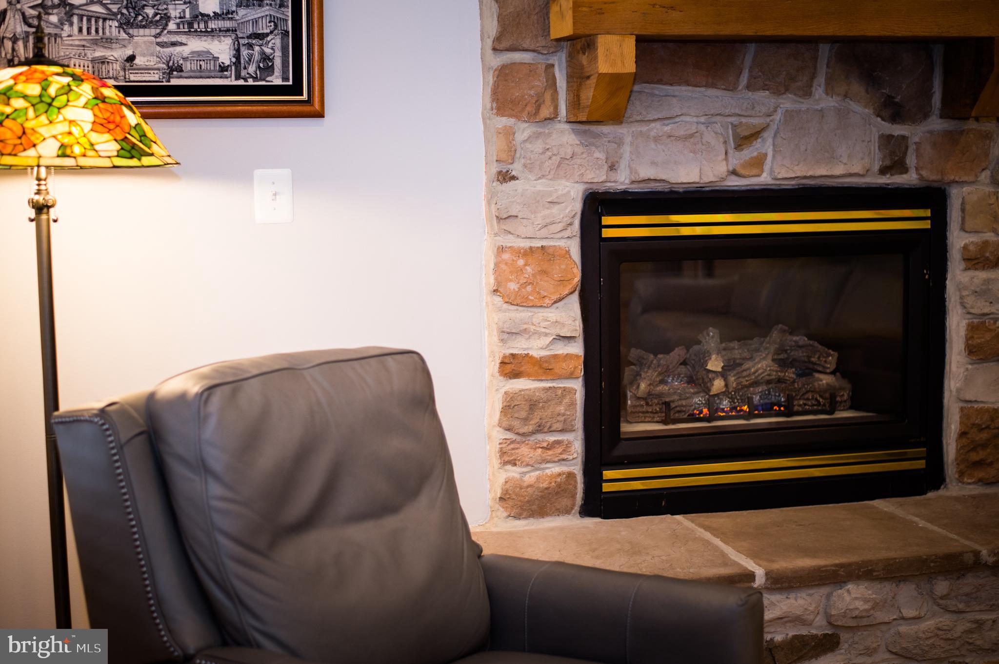 2513 Bear Den Road Frederick, MD 21701 - Photo 22 of 90 Fireplace