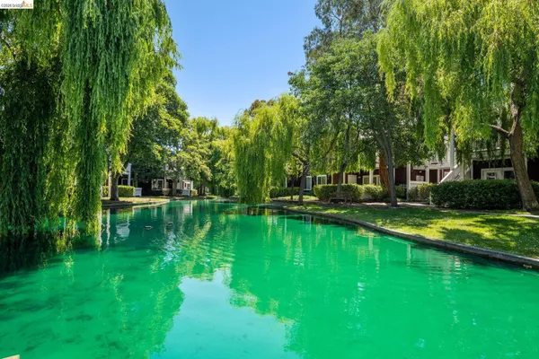 a view of a lake with lawn chairs