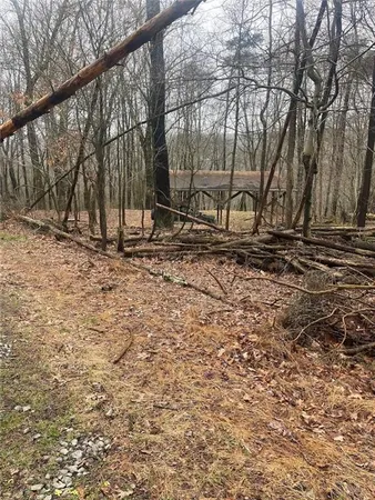 a view of a backyard with large trees