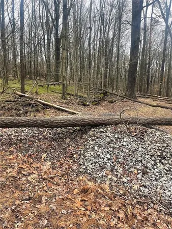 a view of a backyard with green space