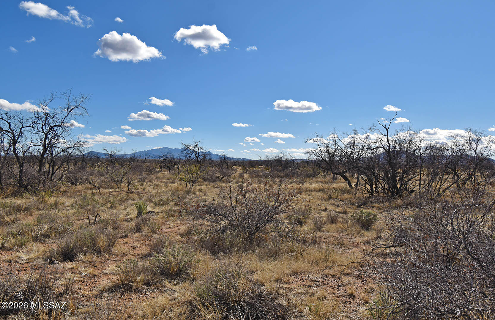 7.54-ac South Catclaw Road, Unit 10 Pearce, AZ 85625 - Photo 12 of 17 Gallery Image 12