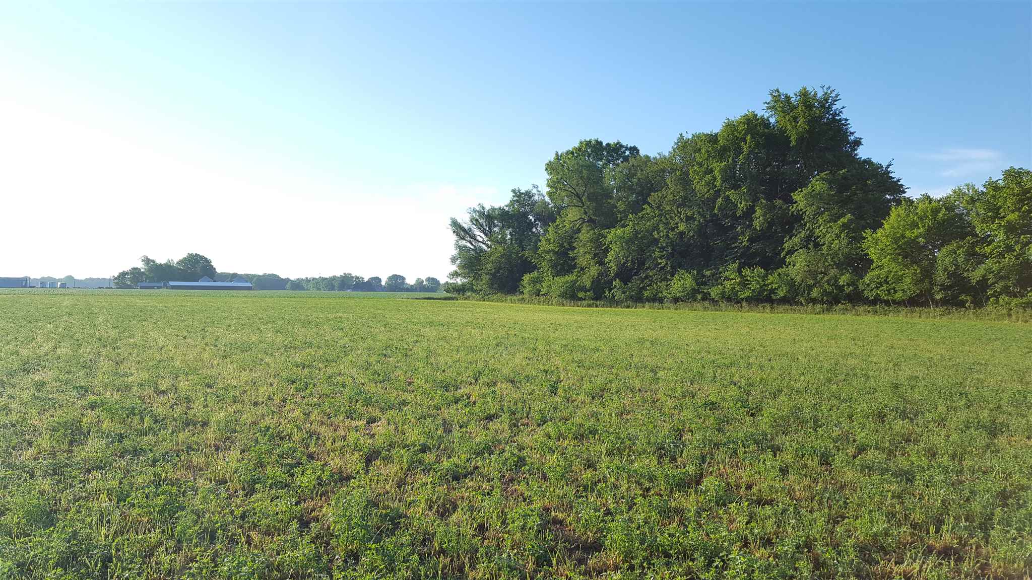 56060 Tulip Road New Carlisle, IN 46552 - Photo 12 of 17 Gallery Image 12