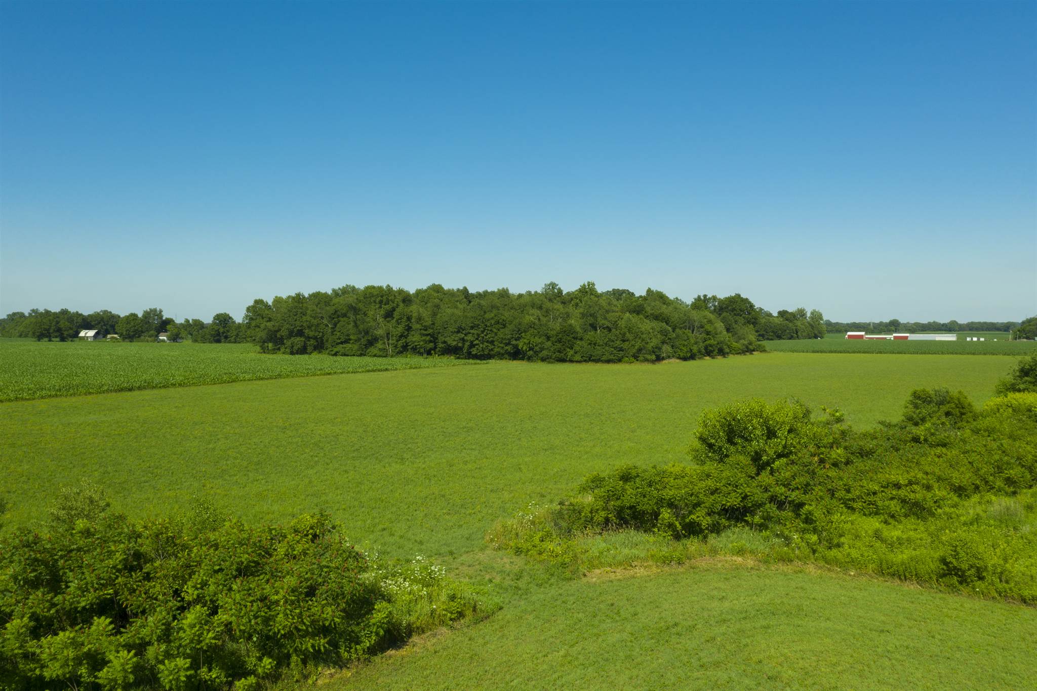 56060 Tulip Road New Carlisle, IN 46552 - Photo 5 of 17 Gallery Image 5