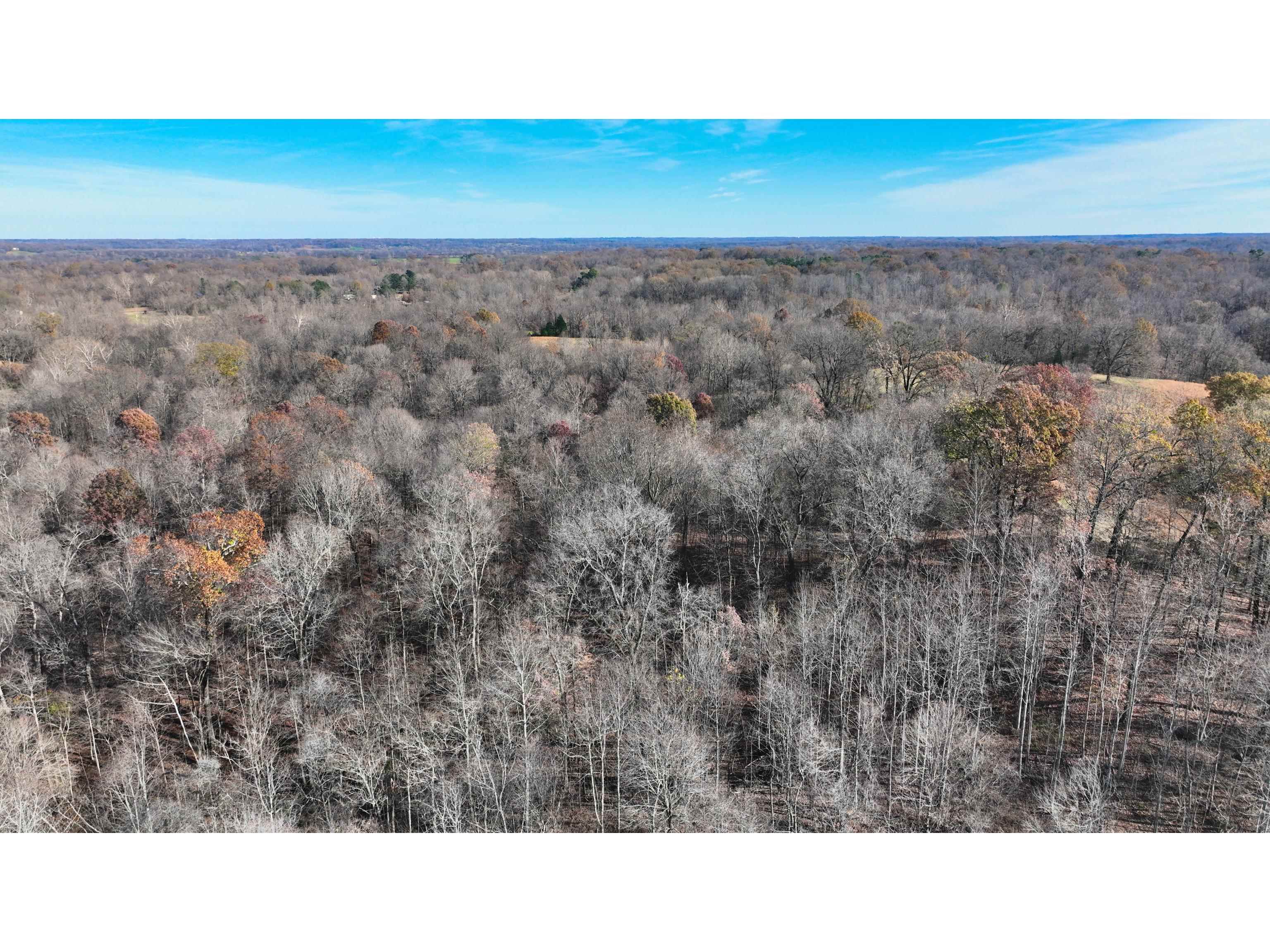 Munford Giltedge Road Burlison, TN 38015 - Photo 6 of 16