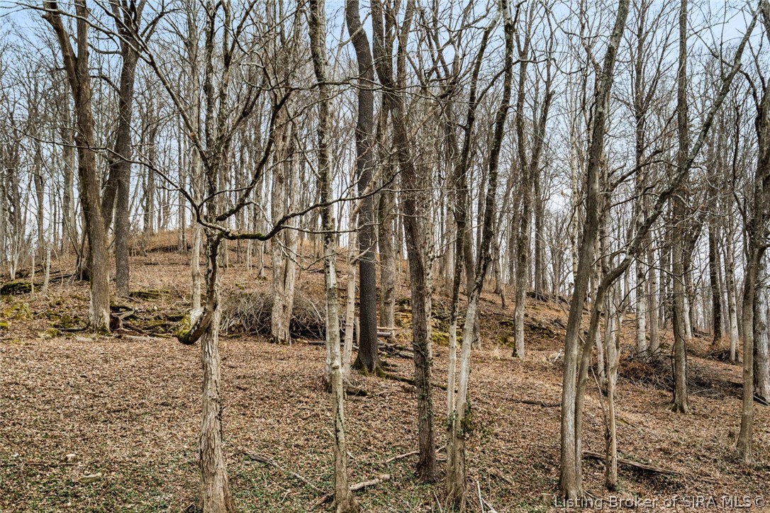 0 Rose Island Road Prospect, KY 40059 - Photo 11 of 28