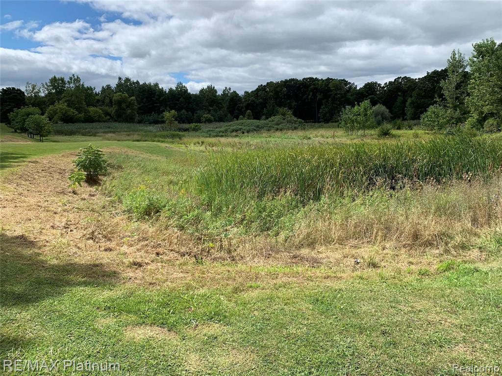 0 West Rolston Road Linden, MI 48451 - Photo 2 of 6