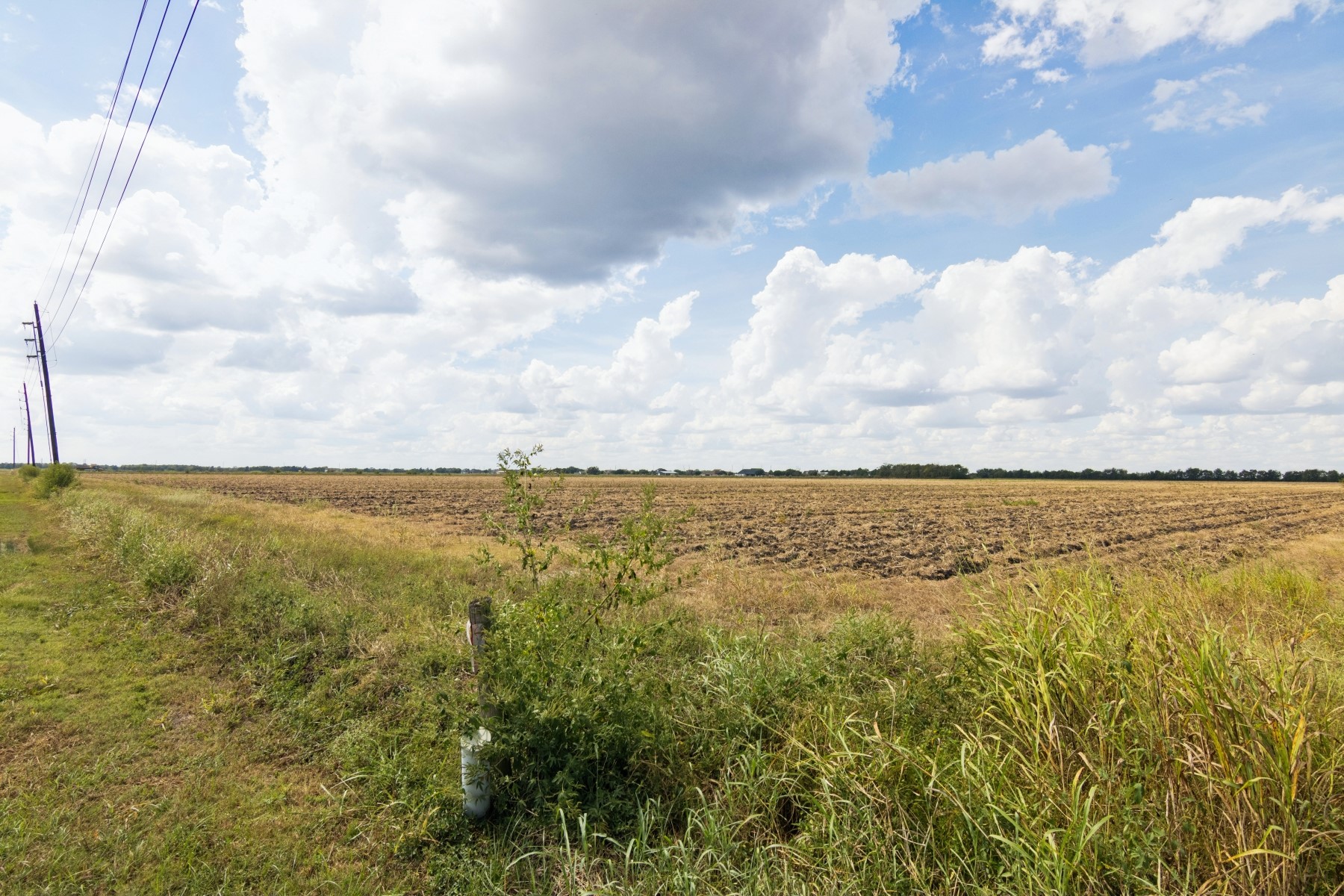 0 Fm 1236 Road Needville, TX 77461 - Photo 14 of 17