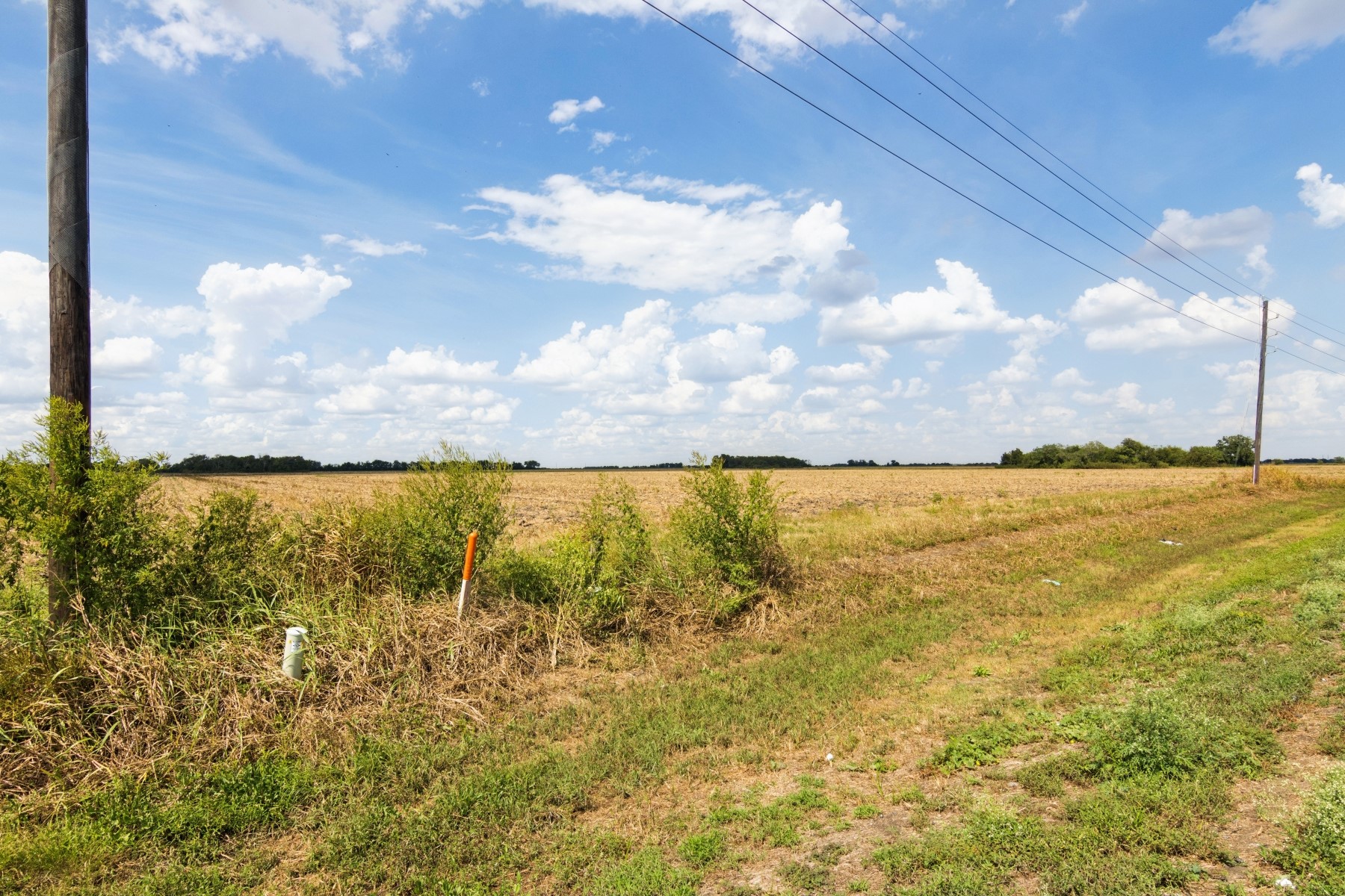 0 Fm 1236 Road Needville, TX 77461 - Photo 3 of 17