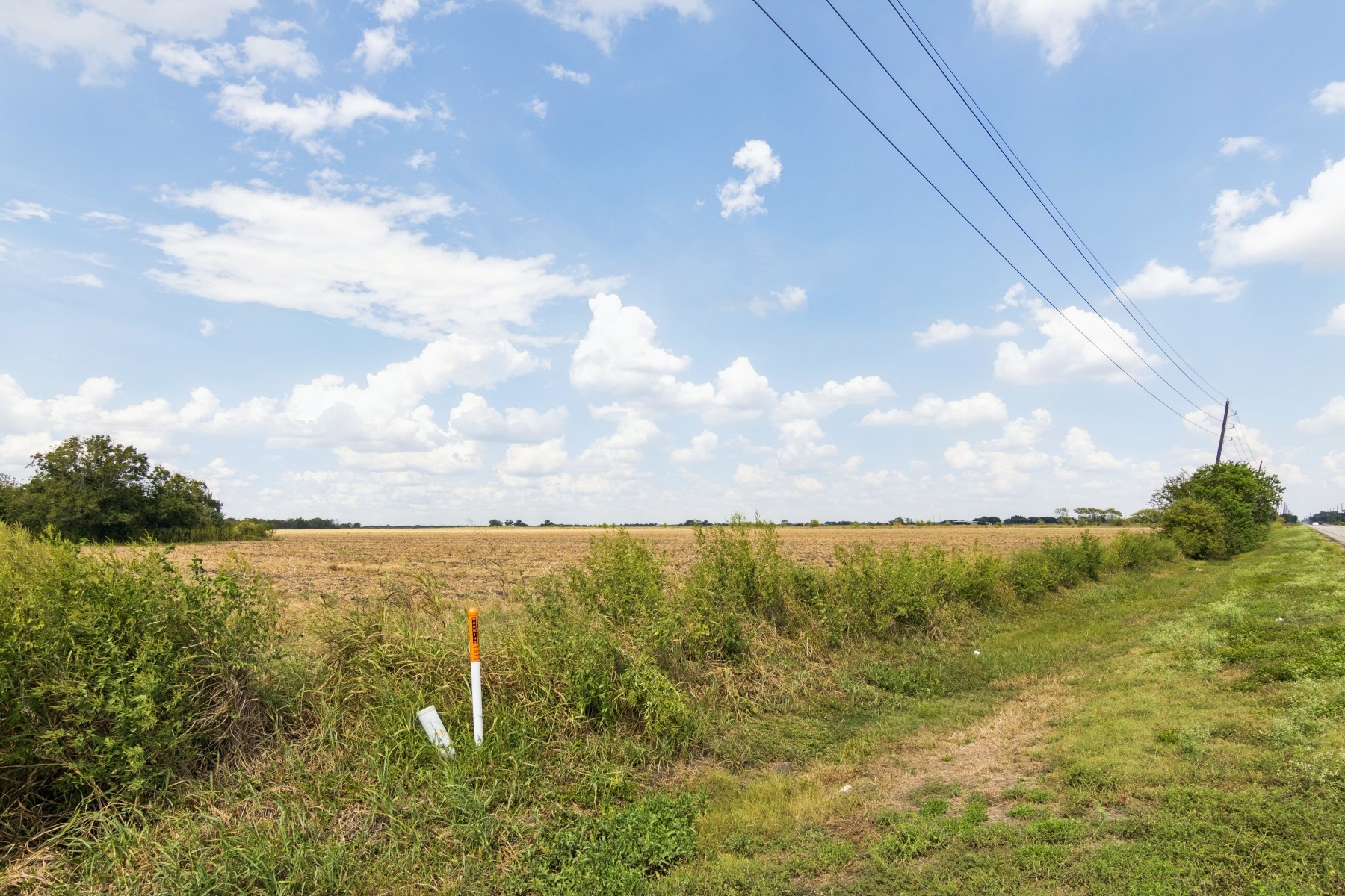 0 Fm 1236 Road Needville, TX 77461 - Photo 4 of 17