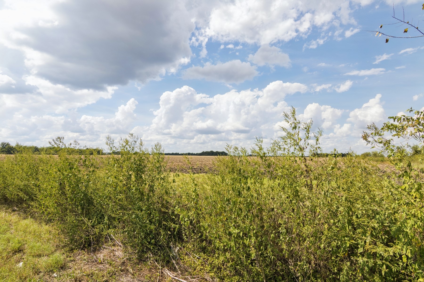0 Fm 1236 Road Needville, TX 77461 - Photo 5 of 17