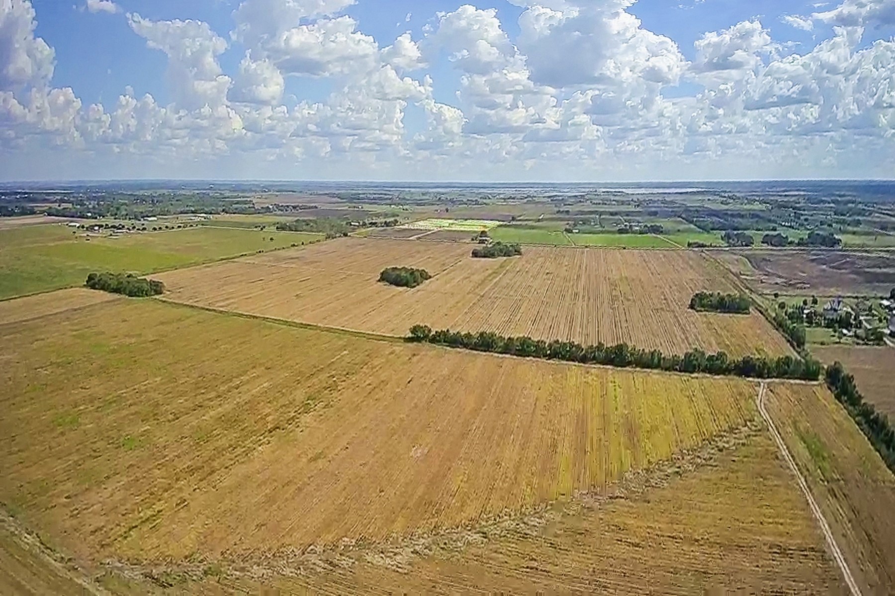 0 Fm 1236 Road Needville, TX 77461 - Photo 6 of 17 Backside of property.