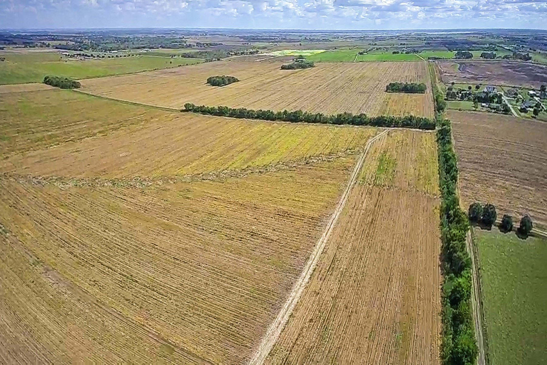 0 Fm 1236 Road Needville, TX 77461 - Photo 9 of 17 Behind the property.