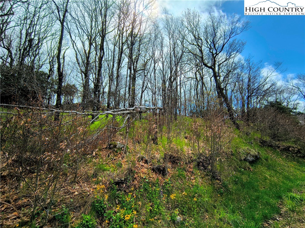 325 North Pinnacle Ridge Road Beech Mountain, NC 28604 - Photo 11 of 11 Gallery Image 11