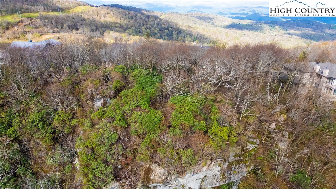 325 North Pinnacle Ridge Road Beech Mountain, NC 28604 - Photo 6 of 11 Gallery Image 6