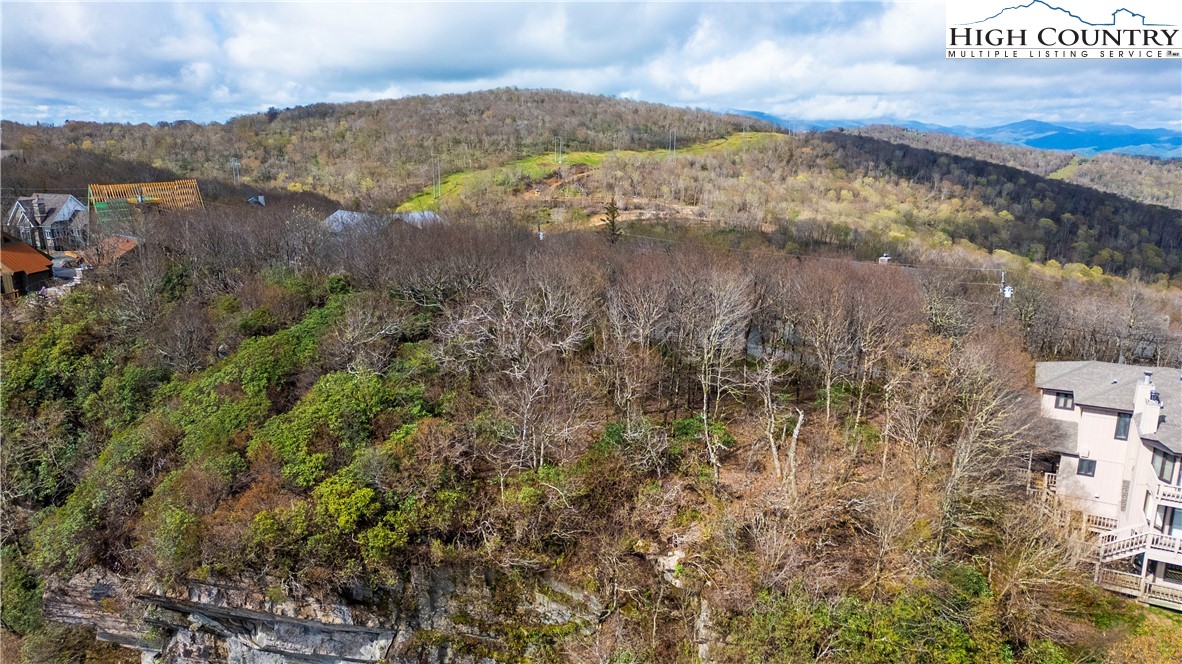 325 North Pinnacle Ridge Road Beech Mountain, NC 28604 - Photo 7 of 11 Gallery Image 7