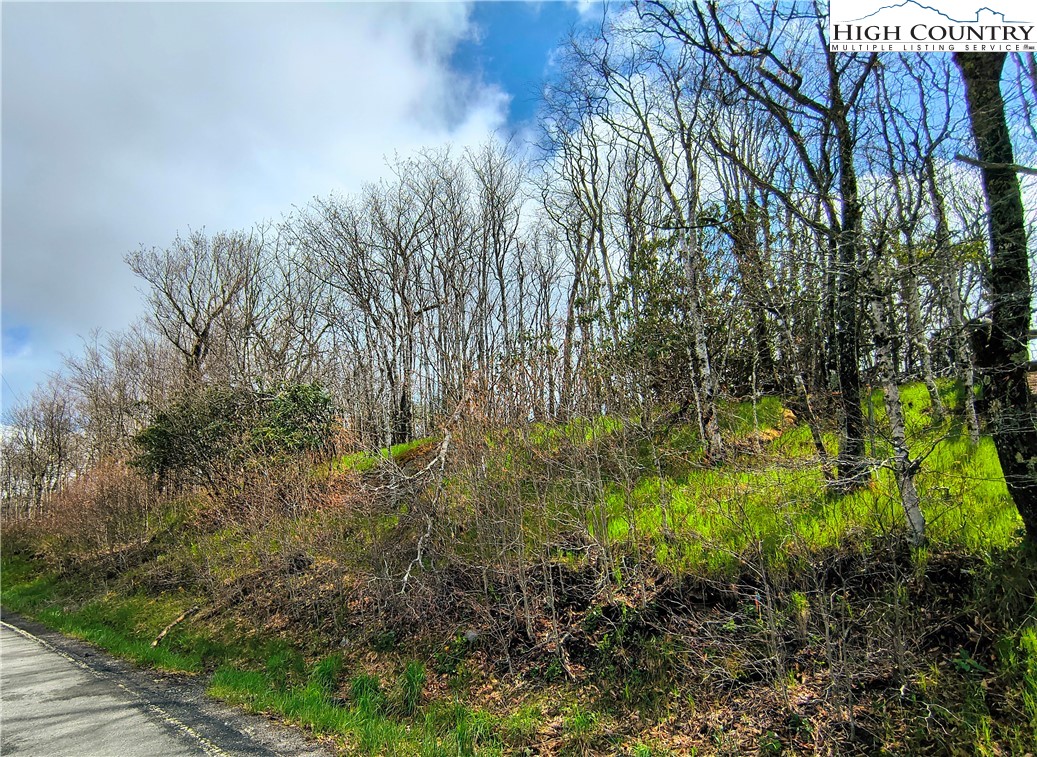325 North Pinnacle Ridge Road Beech Mountain, NC 28604 - Photo 8 of 11 Gallery Image 8