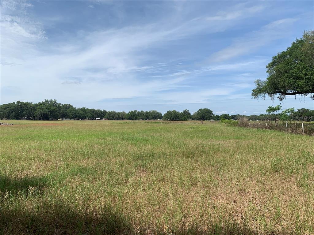 727 727th Webster, FL 33597 - Photo 3 of 7