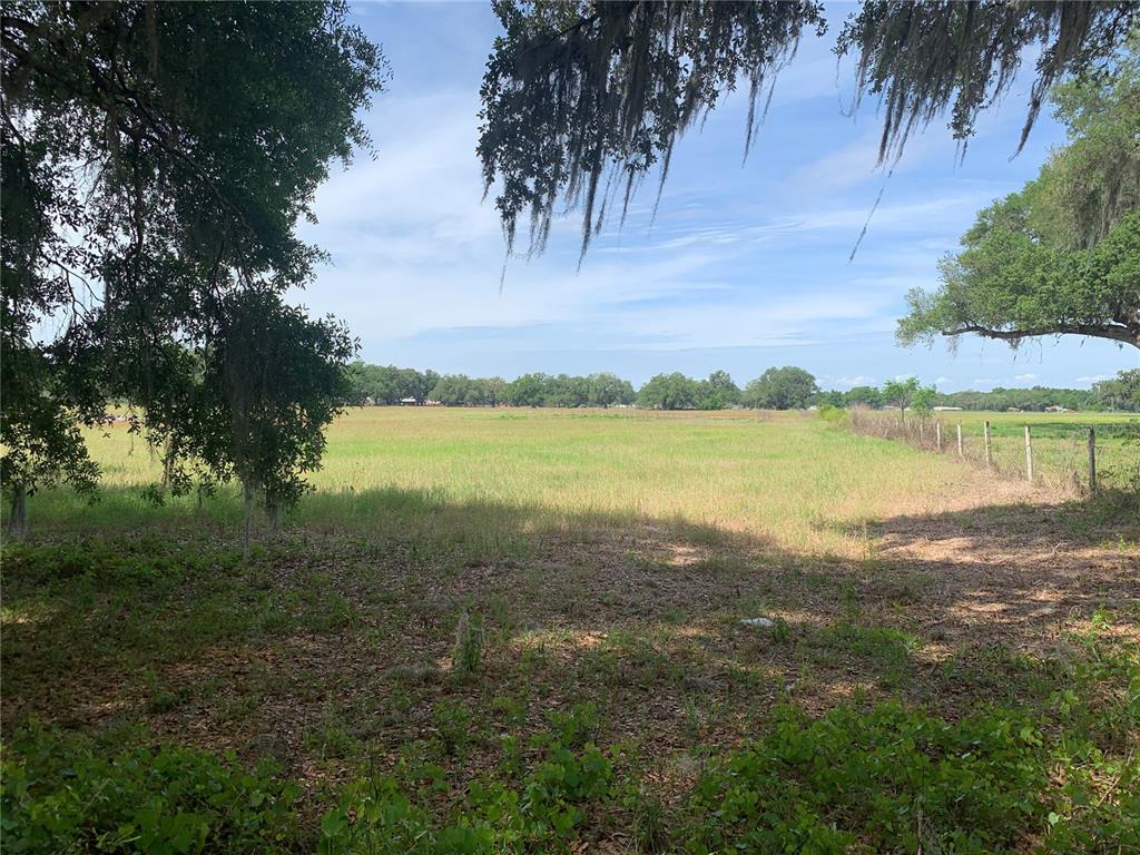 727 727th Webster, FL 33597 - Photo 4 of 7