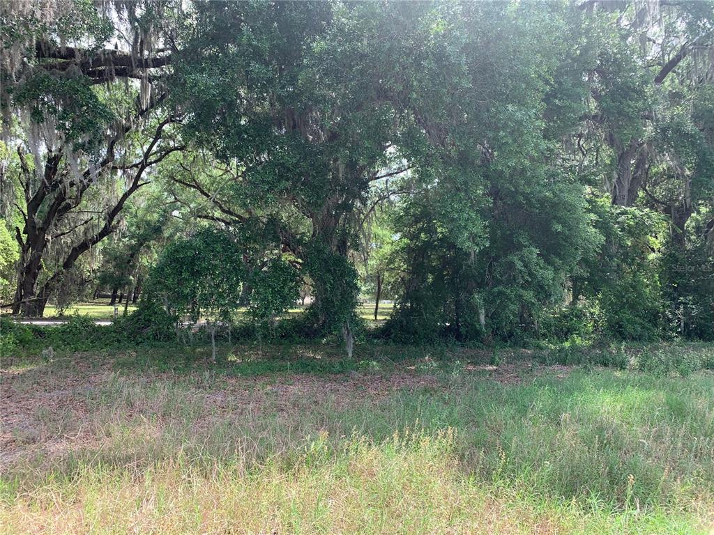 727 727th Webster, FL 33597 - Photo 5 of 7