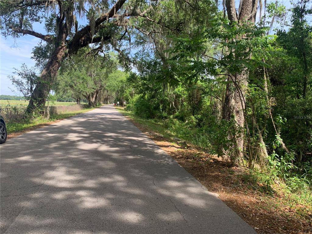 727 727th Webster, FL 33597 - Photo 6 of 7