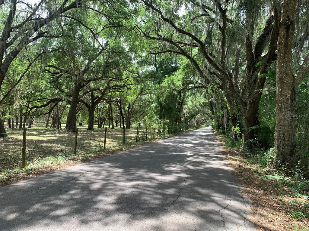 727 727th Webster, FL 33597 - Photo 7 of 7