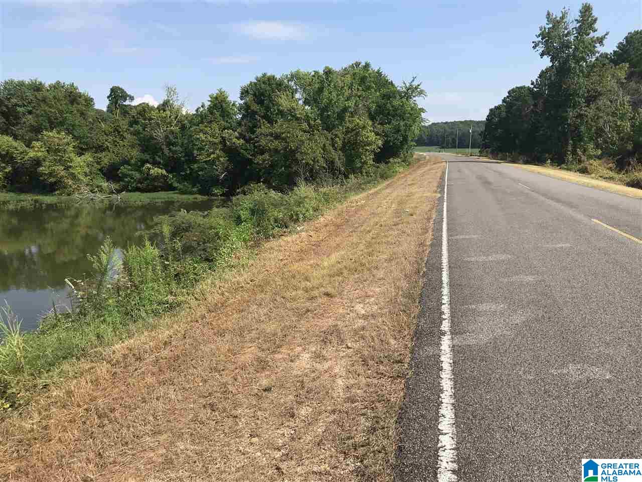 31 County Road, Unit METES Centre, AL 35960 - Photo 11 of 13