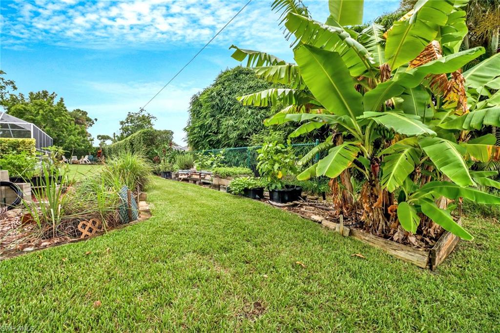 17532 Ingram Road Fort Myers, FL 33967 - Photo 36 of 46 a view of a garden with a tree
