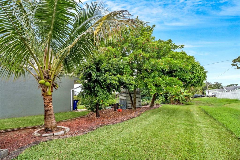 17532 Ingram Road Fort Myers, FL 33967 - Photo 37 of 46 a view of a garden with a tree