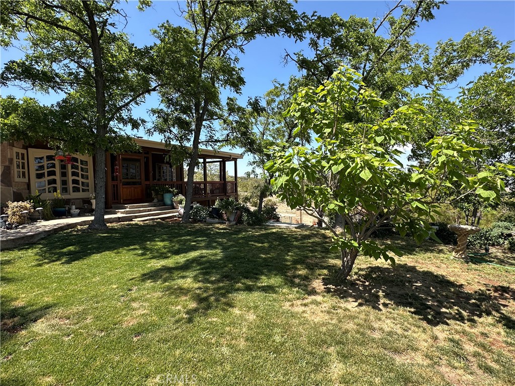 57260 Ramsey Road Anza, CA 92539 - Photo 6 of 44 Gallery Image 6