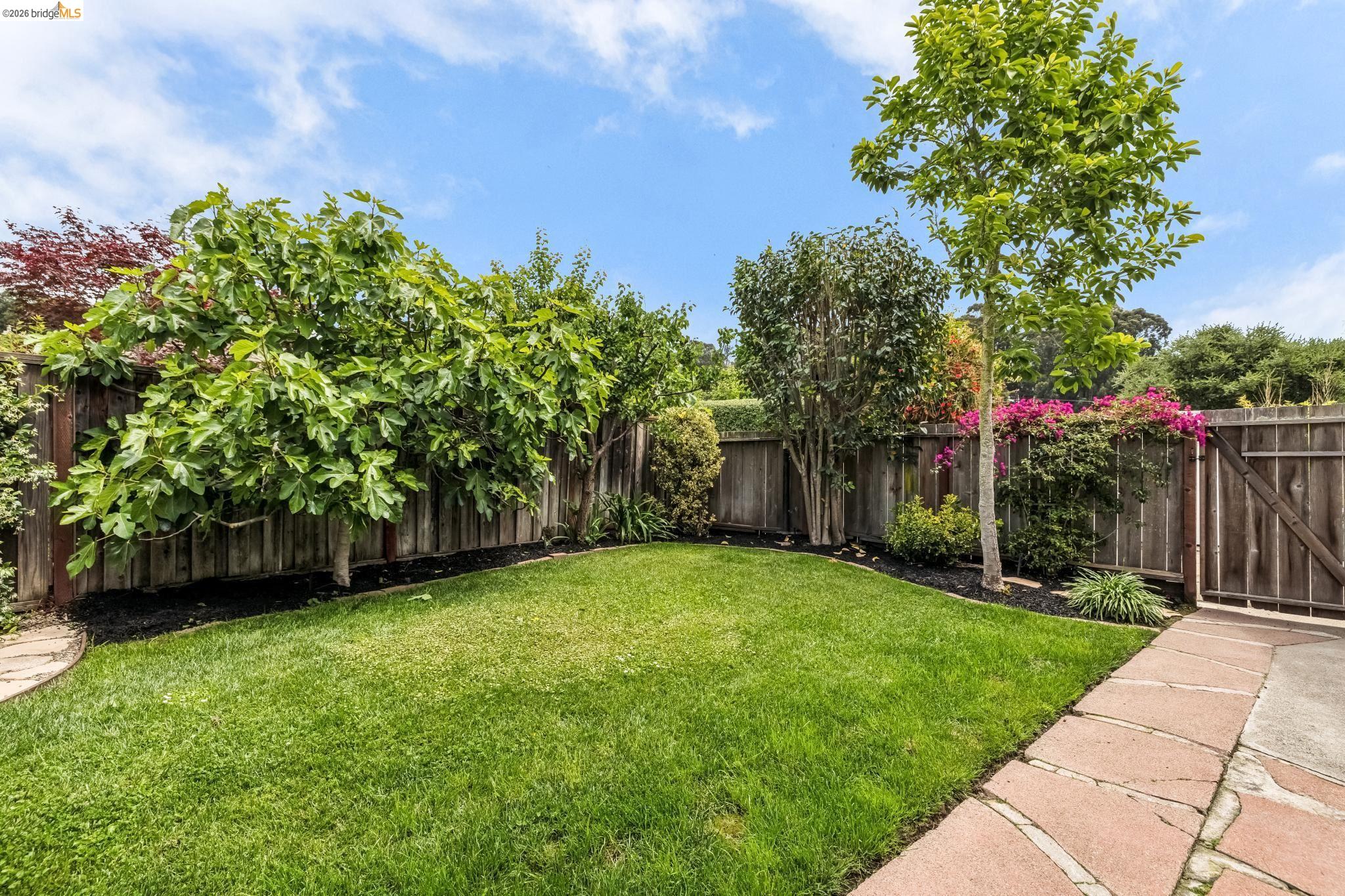 1165 Harvard Road Piedmont, CA 94610 - Photo 47 of 62