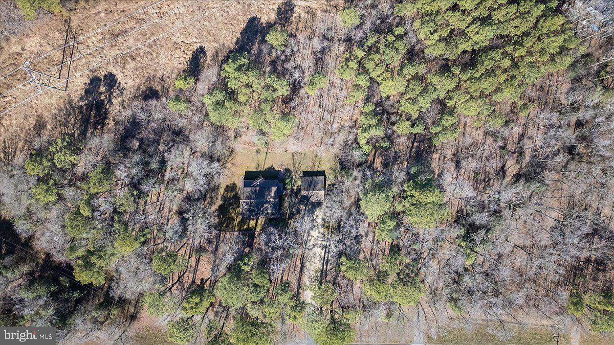 5256 Williamsburg Road Federalsburg, MD 21632 - Photo 26 of 27