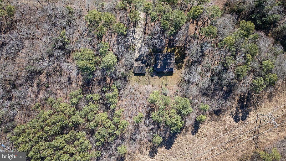 5256 Williamsburg Road Federalsburg, MD 21632 - Photo 27 of 27