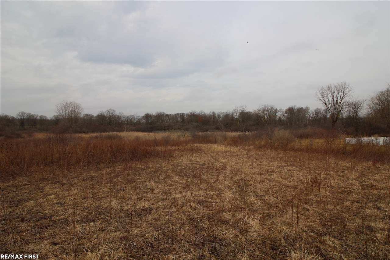 76525 Coon Creek Road Armada, MI 48005 - Photo 1 of 8 31315803.JPG