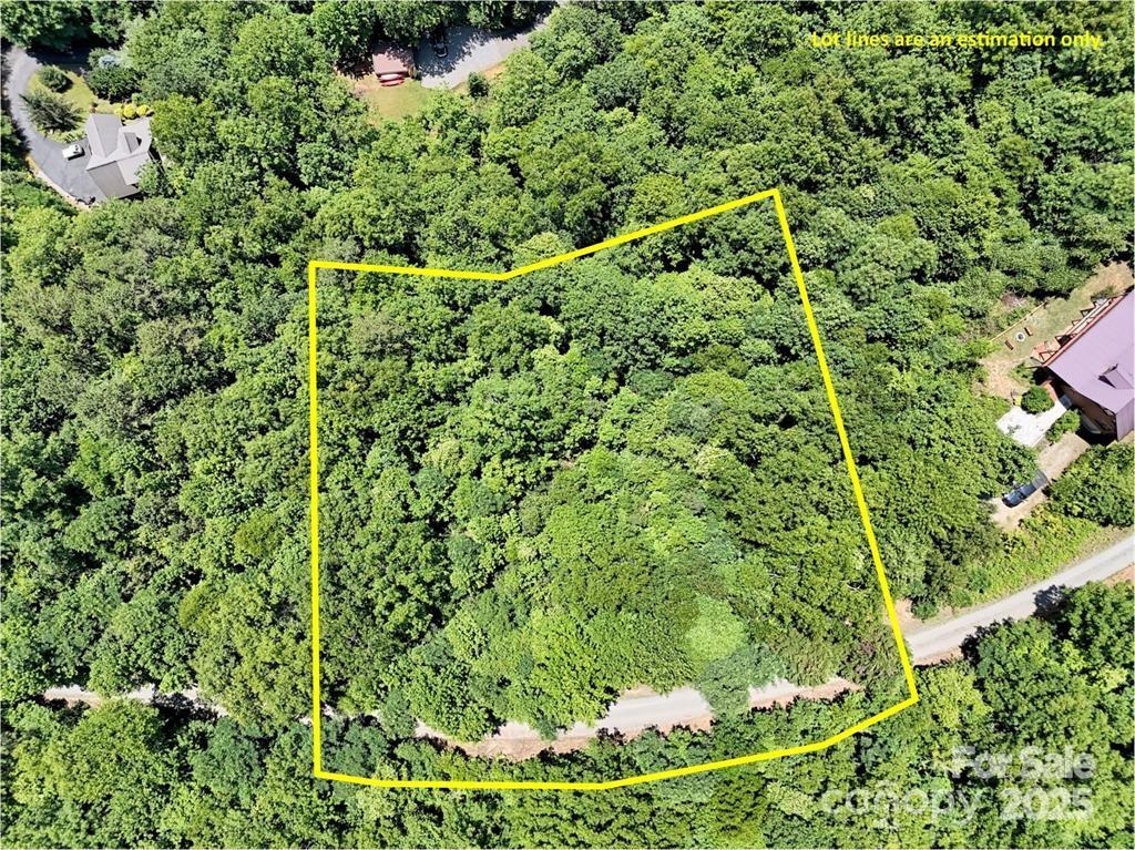 521 Signal Ridge Sylva, NC 28779 - Photo 5 of 9 a picture of a tree