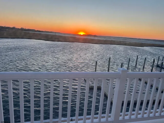 a living room with furniture a rug potted plant and a large window