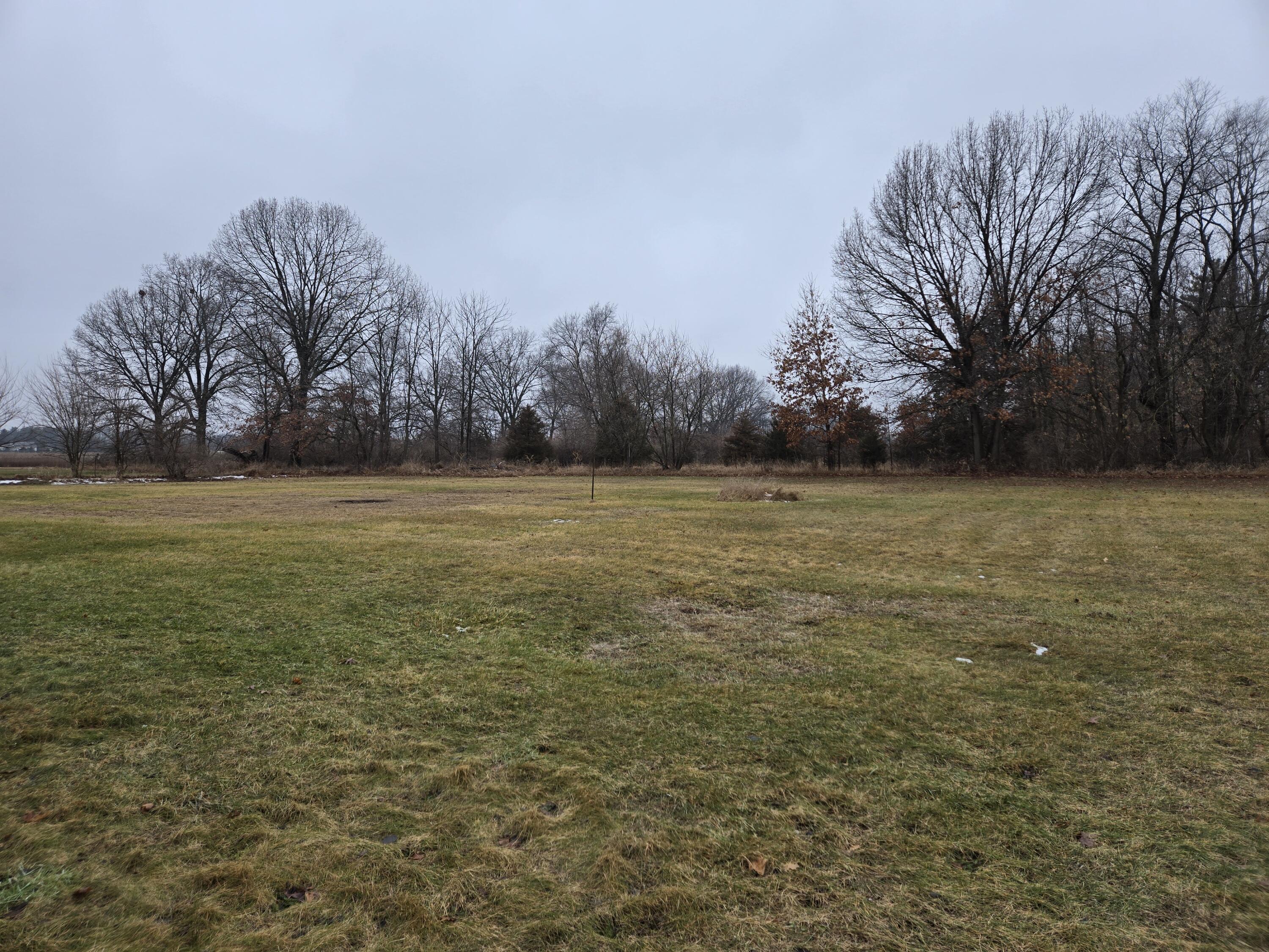 8662 South Stoney Lake Road Jackson, MI 49201 - Photo 8 of 59 Huge Yard
